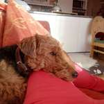 Ersteller:in Mary Profilbild