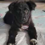 Ersteller:in Carmen Profilbild