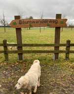 Hundeauslaufgebiet-Baumwanderweg-Bild