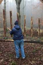 Hundeauslaufgebiet-Baumwanderweg-Bild