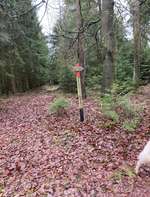 Hundeauslaufgebiet-Baumwanderweg-Bild