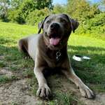 Ersteller:in Ralf + Profilbild