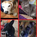 Ersteller:in Nana Profilbild