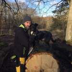 Ersteller:in Pano Profilbild