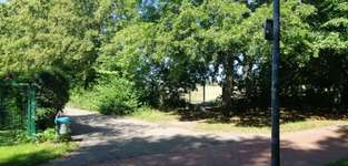 Hundeauslaufgebiet-Teilumzäunte Wiese-Bild