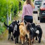 Ersteller:in Isabella Profilbild