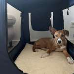 Ersteller:in Jasmin Profilbild