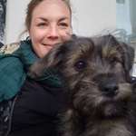 Ersteller:in Karo Profilbild