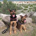 Ersteller:in Daniela Profilbild