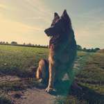 Ersteller:in Ma Profilbild