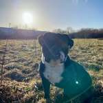 Ersteller:in Silvio Profilbild