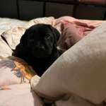 Ersteller:in Jessica Profilbild