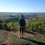 Ersteller:in Sonja Profilbild