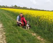 Ersteller:in Pit Profilbild