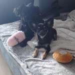 Ersteller:in Zeli Profilbild