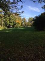 Hundeauslaufgebiet-Herderstraße-Bild