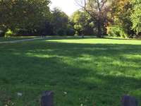 Hundeauslaufgebiet-Herderstraße-Bild