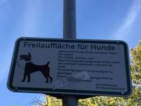 Hundeauslaufgebiet-Herderstraße-Bild