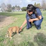 Ersteller:in Pinar Profilbild