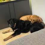 Ersteller:in Nadine Profilbild