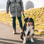 Ersteller:in Nicole Profilbild