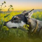 Ersteller:in Doreen Profilbild