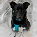 Ersteller:in Priska Profilbild