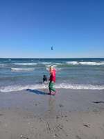 Hundeauslaufgebiet-Hundestrand Haffkrug-Bild