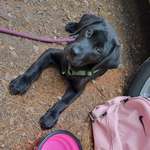 Ersteller:in Antje Profilbild