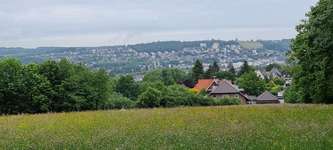 Hundeauslaufgebiet-Kleiner Schwelmer Wald-Bild