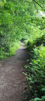 Hundeauslaufgebiet-Kleiner Schwelmer Wald-Bild