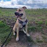 Ersteller:in Shenja Profilbild