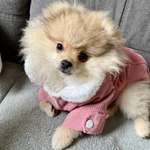 Ersteller:in Sabine Profilbild