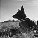 Ersteller:in David Profilbild