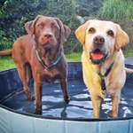 Ersteller:in Tamina Profilbild