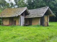 Hundeauslaufgebiet-Grüner See-Bild