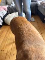 Beulen auf dem Rücken-Beitrag-Bild