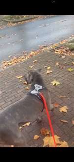 Suchmeldung-Hera-Bild