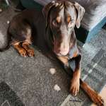 Ersteller:in Sandra-Manuela Profilbild