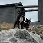 Ersteller:in Pia Profilbild