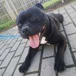 Ersteller:in Franz und Lotti Profilbild