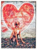 67. Handy Foto Challenge: Rotes Herz-Beitrag-Bild