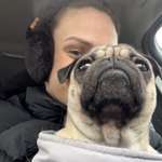 Ersteller:in Sve Profilbild