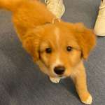 Ersteller:in Inken Profilbild