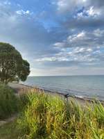 Hundeauslaufgebiet-Norgaardholz-Bild