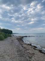 Hundeauslaufgebiet-Norgaardholz-Bild