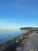 Hundeauslaufgebiet-Hundestrand Langballigau-Bild