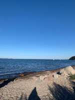 Hundeauslaufgebiet-Hundestrand Langballigau-Bild