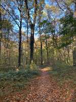 Hundeauslaufgebiet-Militärlöschsee-Bild