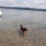 Ersteller:in Melanie Profilbild